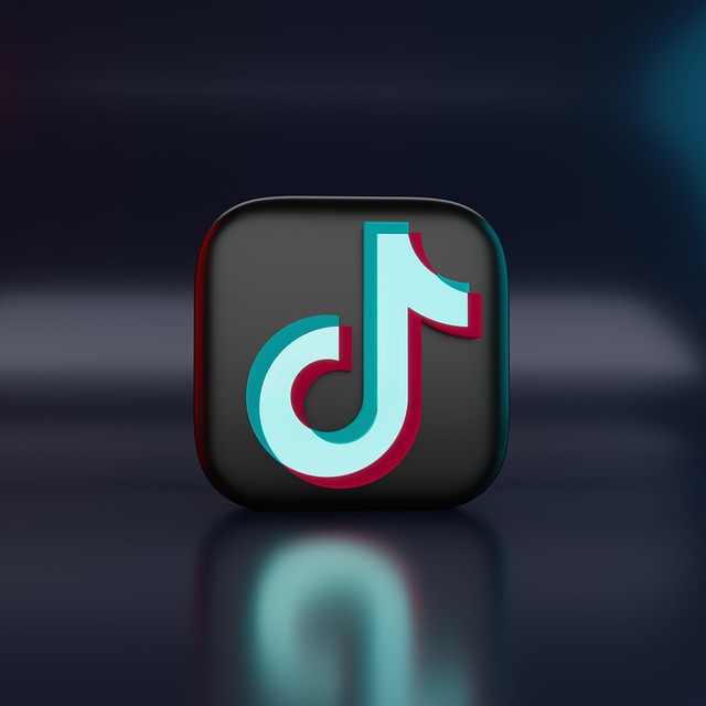 Who Can See My Liked Videos on TikTok?