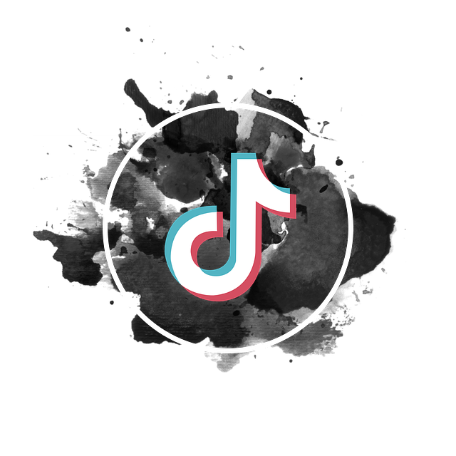 Can You Slow Down TikTok Videos? Yes, But How?
