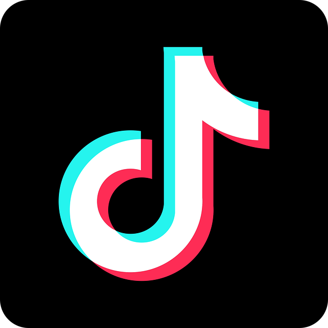 How to Check Who Viewed Your TikTok Videos